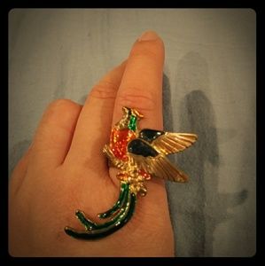 Bird ring